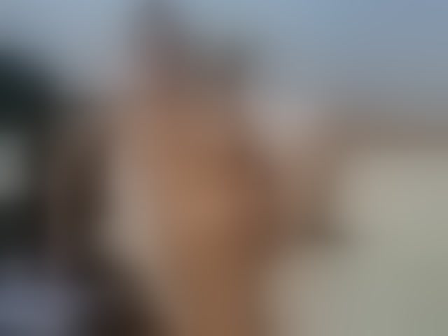 Live sex webcam photo for Sweetaniaa #294215587