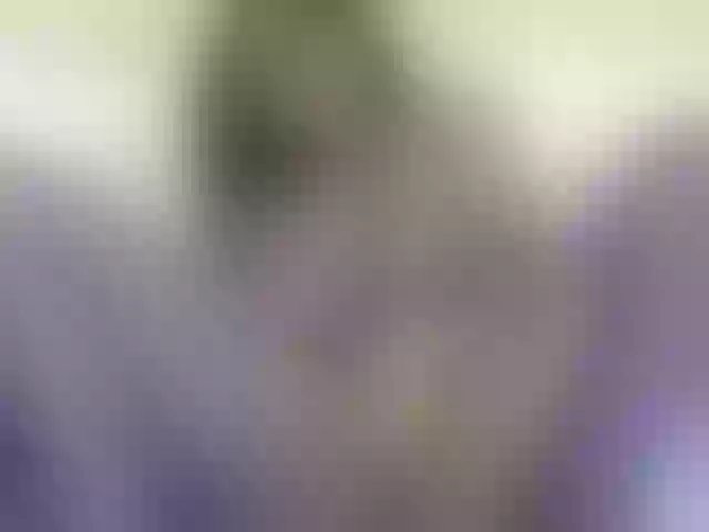 Live sex webcam photo for Sweetapple #292125513