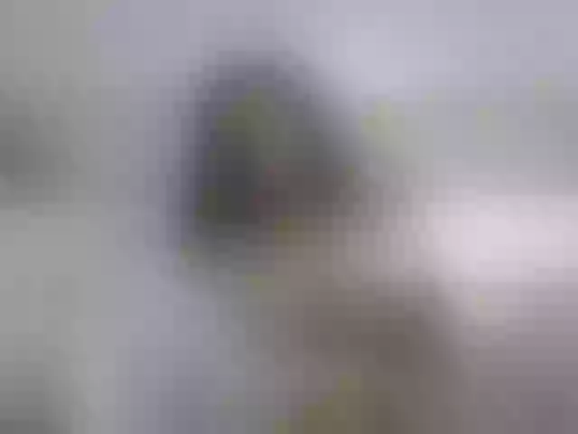 Live sex webcam photo for Sweetapple #292171175