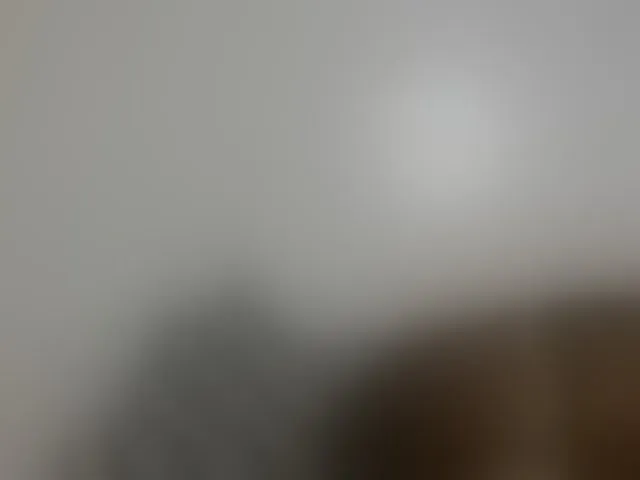 Live sex webcam photo for Sweetapple #292741934