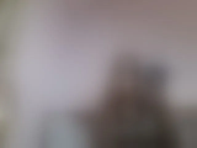 Live sex webcam photo for Sweetariah1 #293936336