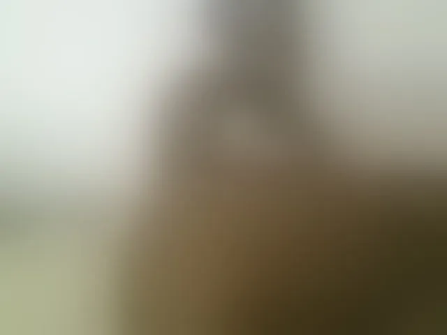Live sex webcam photo for Sweetbaby006 #291855850