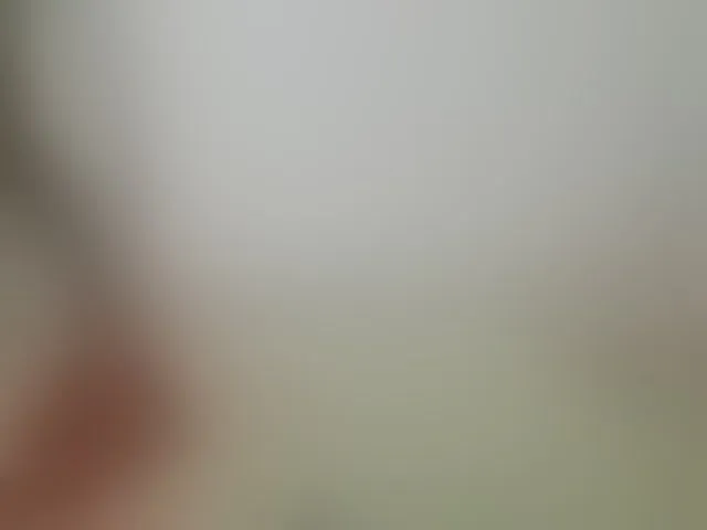 Live sex webcam photo for Sweetbaby006 #291857776