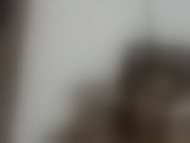 Live sex webcam photo for Sweetbaby006 #292762362