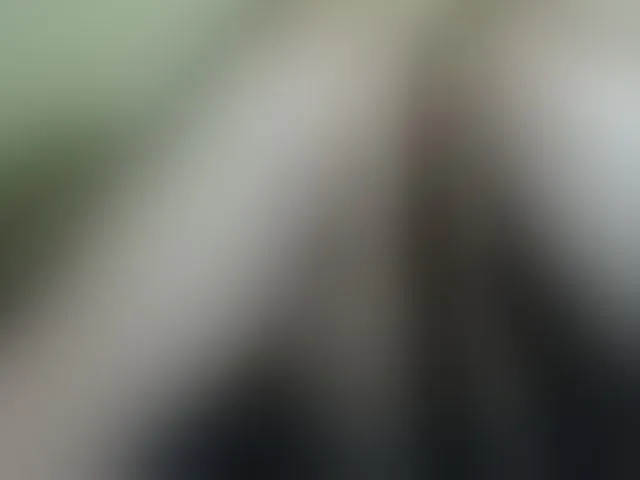 Live sex webcam photo for Sweetbaby006 #293445351