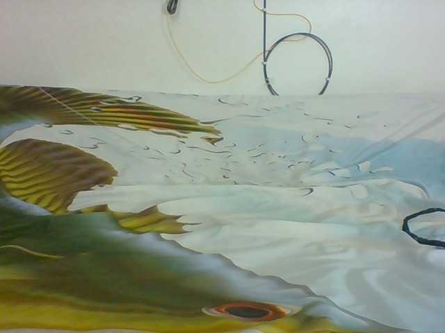 Live sex webcam photo for Sweetblackgal3 #290350163