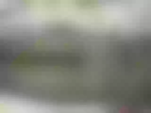 Live sex webcam photo for Sweetgal #275732245
