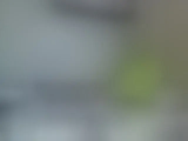 Live sex webcam photo for Sweetheartcocomwllow #292088255