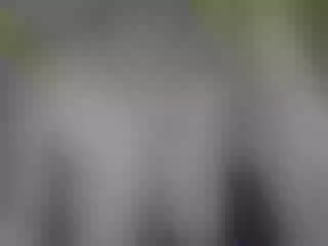 Live sex webcam photo for SweetieAngel #291611369