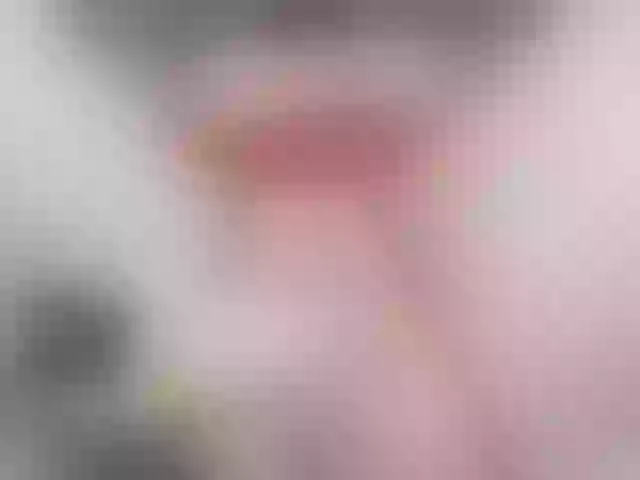 Live sex webcam photo for SweetieSoul #277187012