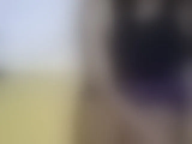 Live sex webcam photo for Sweetjoly #292711776