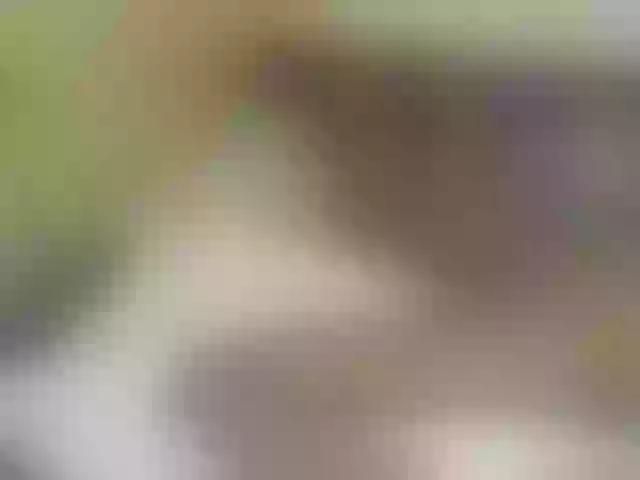 Live sex webcam photo for Sweetness-Tatiana #290934839