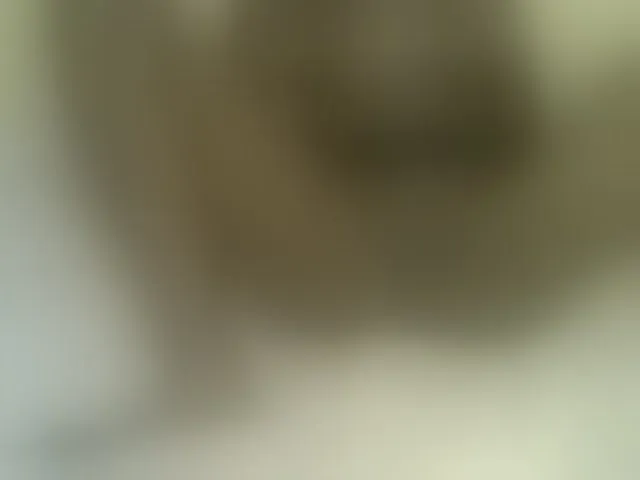 Live sex webcam photo for Sweetness-Tatiana #290973987