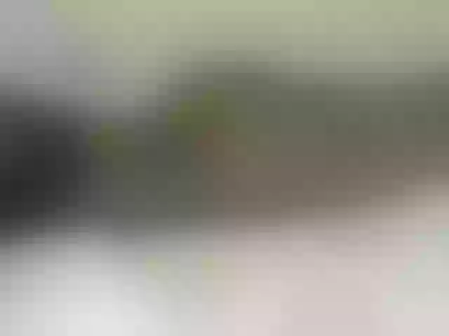 Live sex webcam photo for Sweetness-Tatiana #290989464