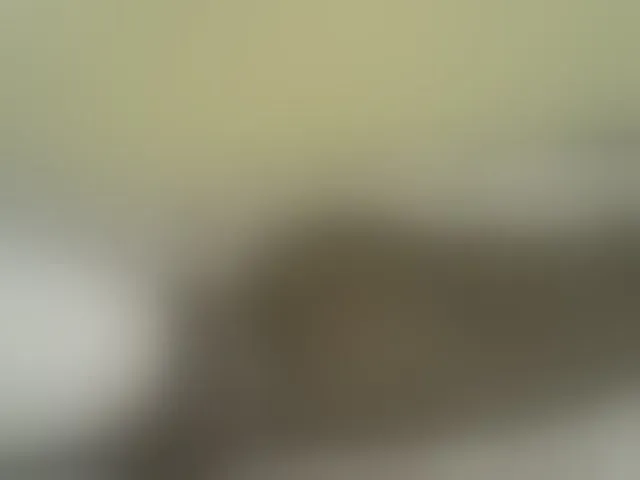 Live sex webcam photo for Sweetness-Tatiana #291024521