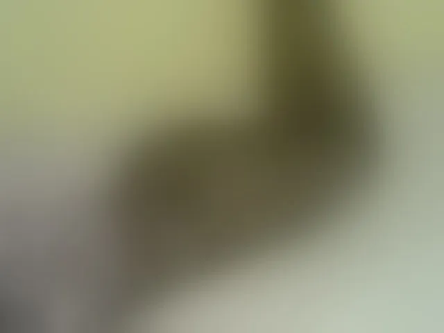 Live sex webcam photo for Sweetness-Tatiana #291113421