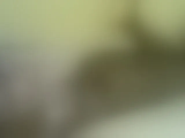 Live sex webcam photo for Sweetness-Tatiana #291116983
