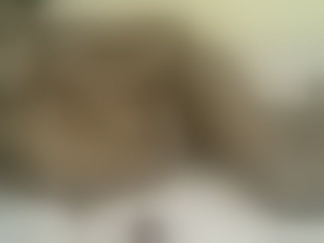 Live sex webcam photo for Sweetness-Tatiana #291137727