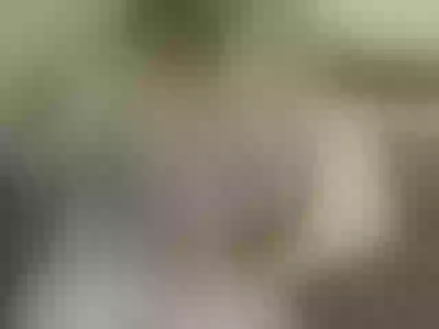 Live sex webcam photo for Sweetness-Tatiana #291168344