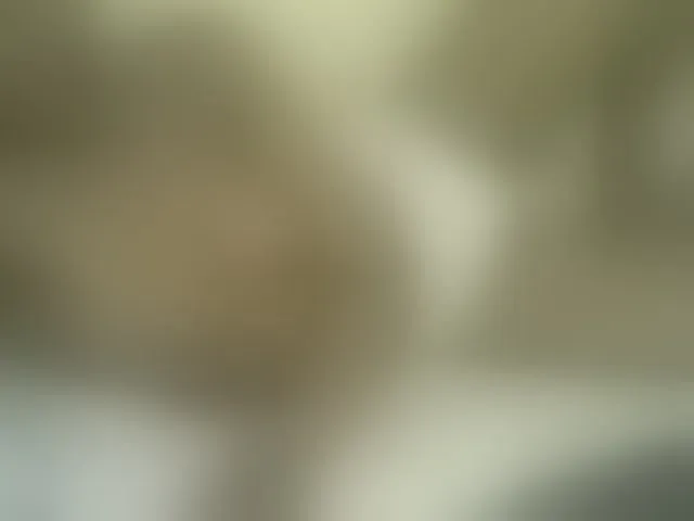 Live sex webcam photo for Sweetness-Tatiana #291400196