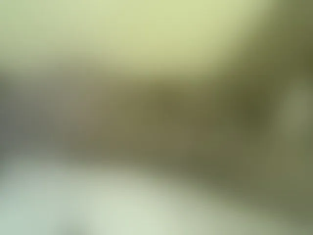 Live sex webcam photo for Sweetness-Tatiana #291451461
