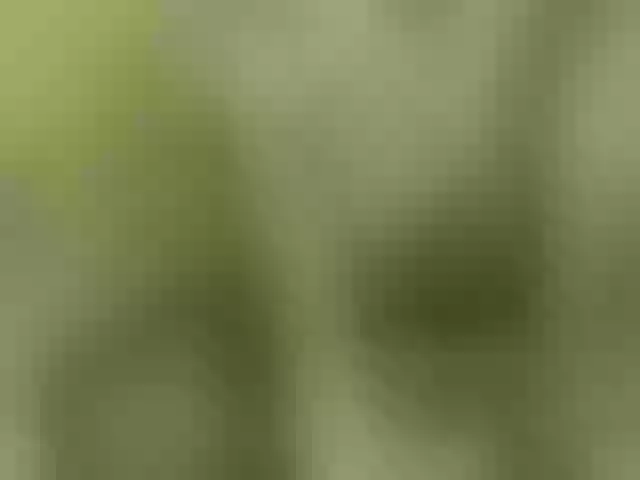 Live sex webcam photo for Sweetness-Tatiana #291490858