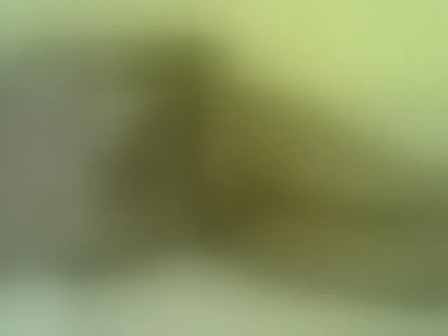 Live sex webcam photo for Sweetness-Tatiana #291516888