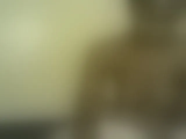 Live sex webcam photo for Sweetness-Tatiana #291674151