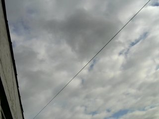 Live sex webcam photo for sweetpercheg #186227342