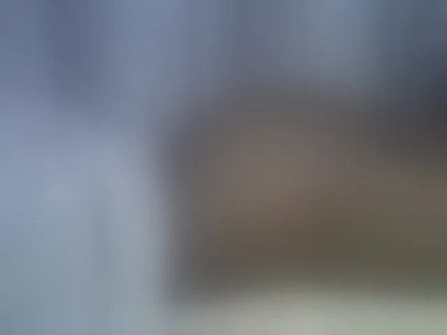 Live sex webcam photo for Sweetvine #290950962