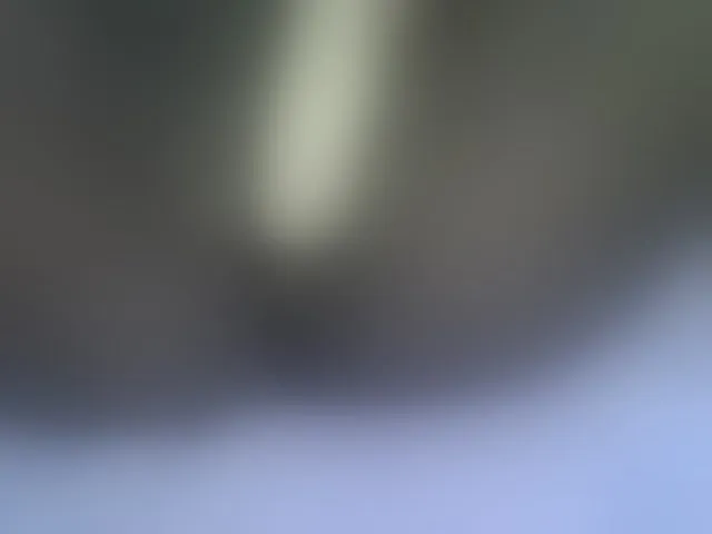 Live sex webcam photo for Sweetvine #290955137