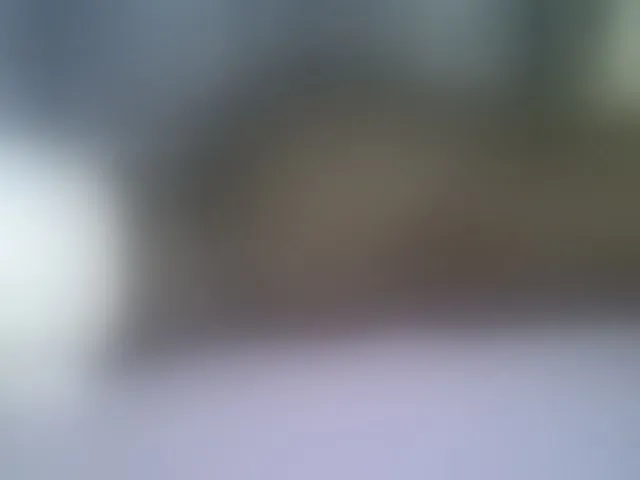 Live sex webcam photo for Sweetvine #291050913