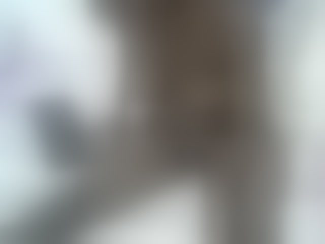 Live sex webcam photo for Sweetwn #294149750