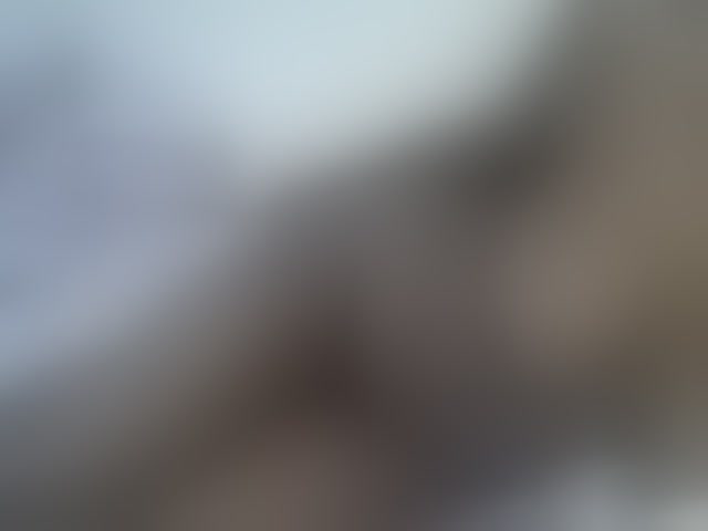 Live sex webcam photo for Sweetwn #294263961