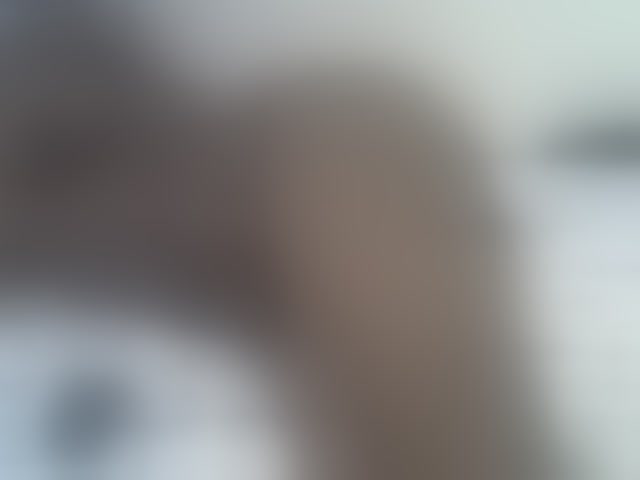Live sex webcam photo for Sweetwn #294266429