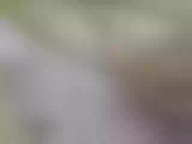 Live sex webcam photo for Sweuf #275706823