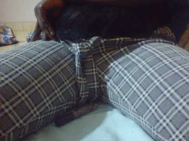 Live sex webcam photo for Swiftiey #278050334