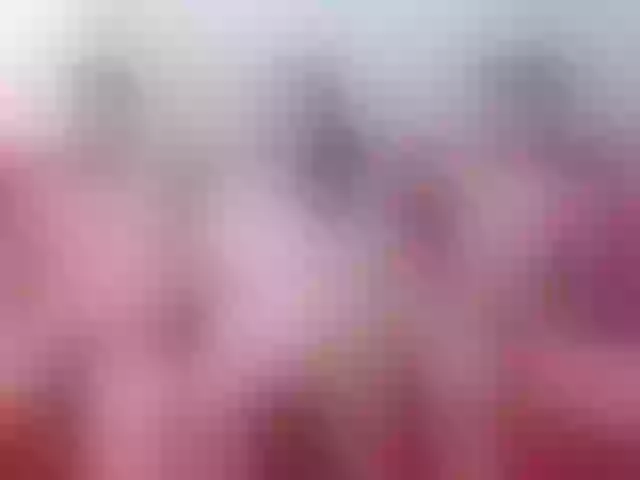 Live sex webcam photo for Swinger-Party #275973070