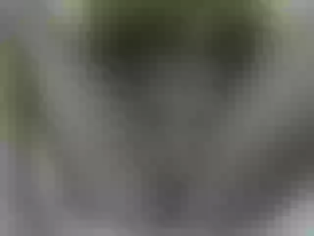Live sex webcam photo for Switdarkberry #276738763