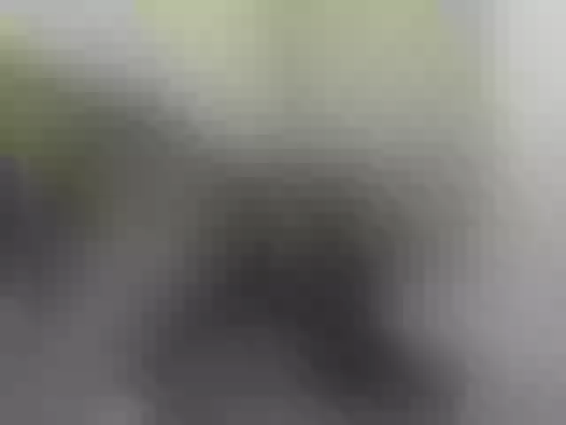 Live sex webcam photo for Switdarkberry #276869105