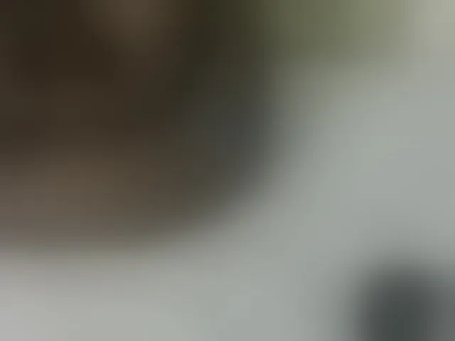 Live sex webcam photo for Switdarkberry #276884382