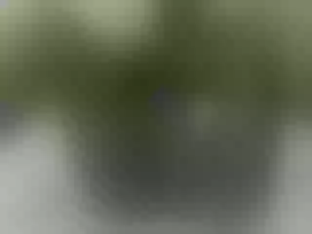 Live sex webcam photo for Switdarkberry #277777781