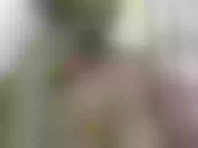 Live sex webcam photo for Sylivinaahh #277691426