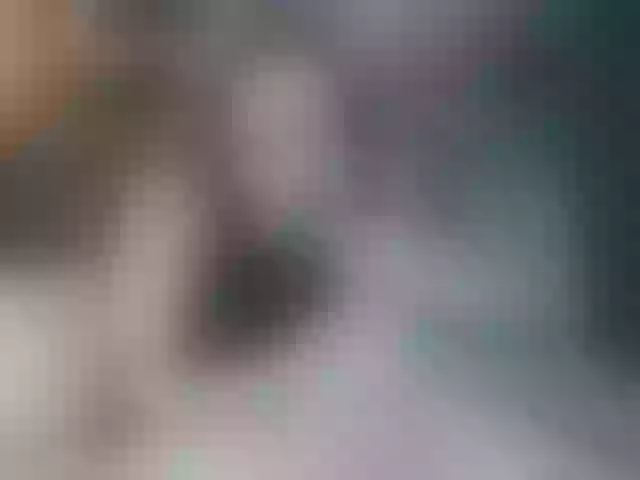 Live sex webcam photo for TANIALANINFO #292025949