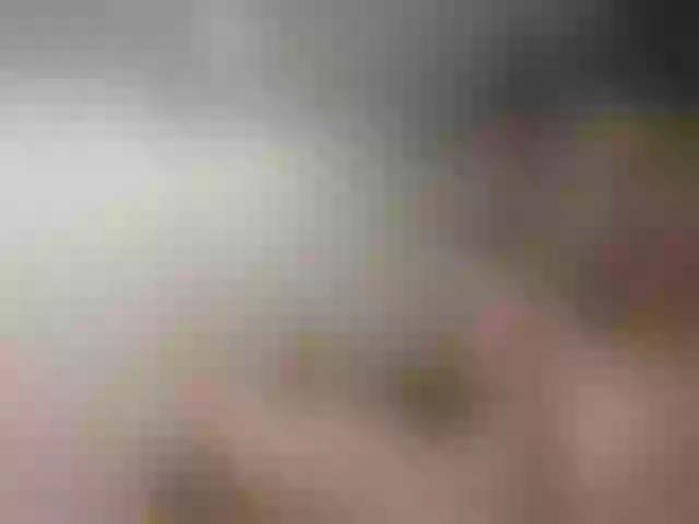 Live sex webcam photo for TUYA2 #291935893