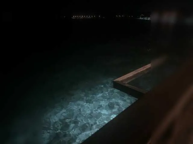 Live sex webcam photo for Taanni #292371765