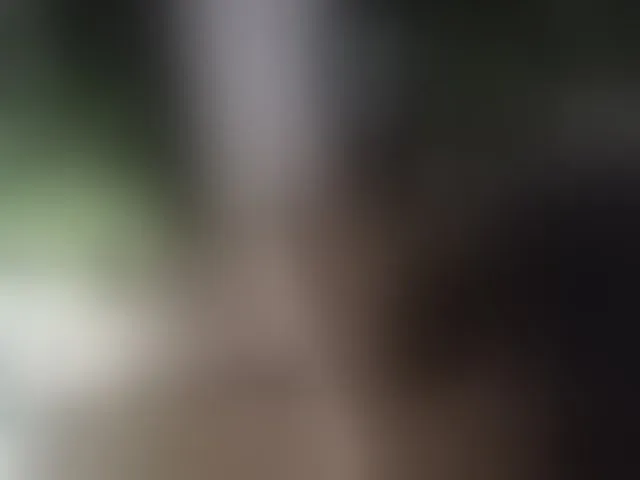 Live sex webcam photo for Taanni #292500084