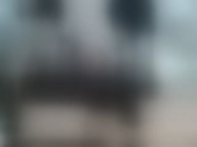 Live sex webcam photo for Taanni #292505342