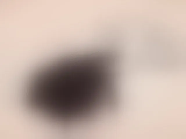 Live sex webcam photo for Taanni #292737955