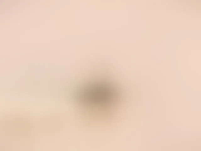 Live sex webcam photo for Taanni #293058252